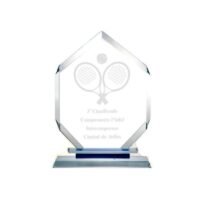 Trofeos de Vidrio 170 X 100 X 5MM