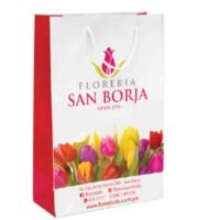 BOLSA DE PAPEL FULL COLOR